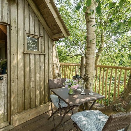 The Treehouse At Salcombe Farm Villa Bagian luar foto