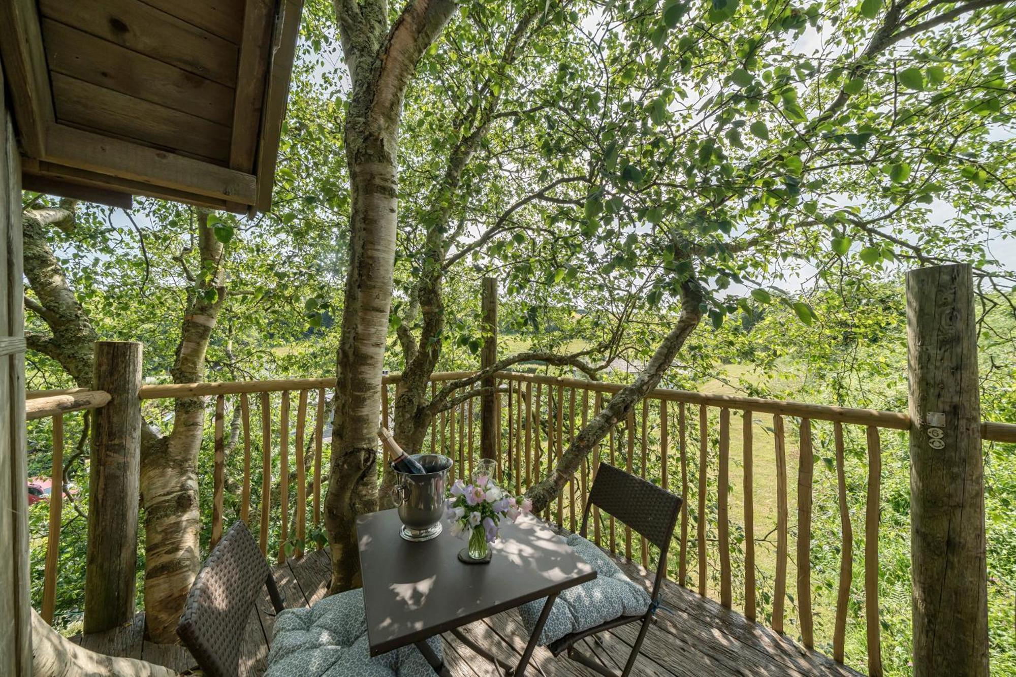 The Treehouse At Salcombe Farm Villa Bagian luar foto